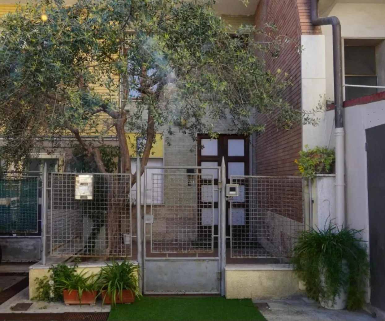 B&B Myosotis Pisa Italy